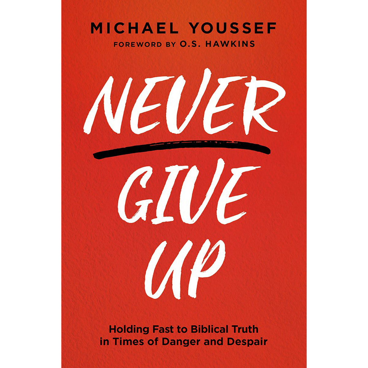 Never Give Up: Holding Fast To Biblical Truth In Times Of Danger And Despair (Paperback)