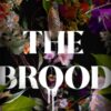 The Brood : A Novel - 9781662530562