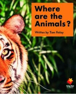 Flying Start Where Are The Animal? L1