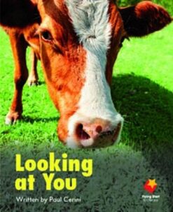 Flying Start Looking At You L2