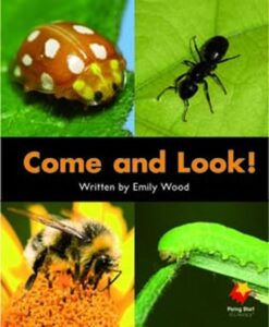 Flying Start Come And Look! L2