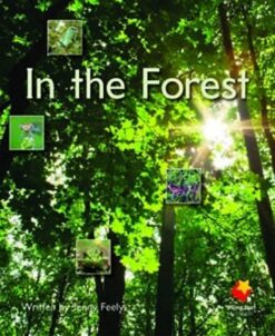 Flying Start In The Forest L3