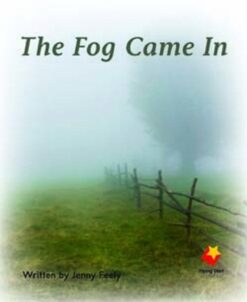 Flying Start The Fog Came In L4