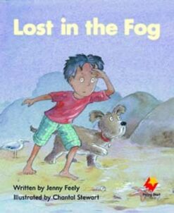 Flying Start Lost In The Fog L4