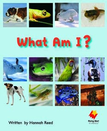 Flying Start What Am I? L6