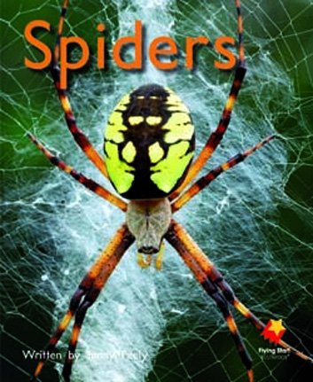Flying Start Spiders L6