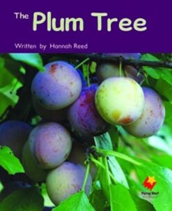 Flying Start The Plum Tree L7