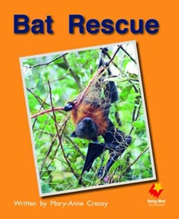 Flying Start Bat Rescue L9