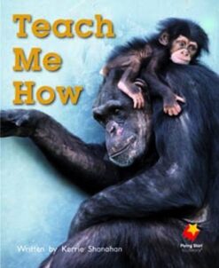 Flying Start Teach Me How L9