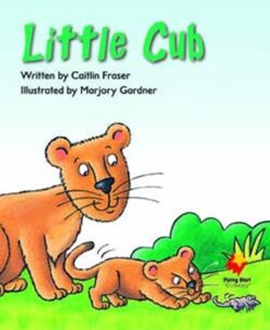 Flying Start Little Cub L9