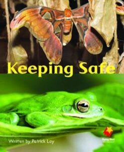 Flying Start Keeping Safe L10