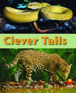 Flying Start Clever Tails L12