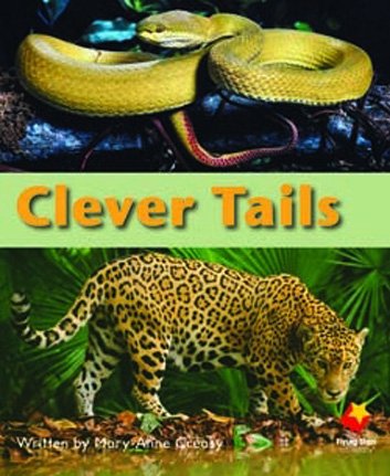 Flying Start Clever Tails L12