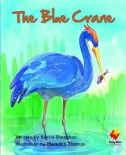 Flying Start The Blue Crane L12
