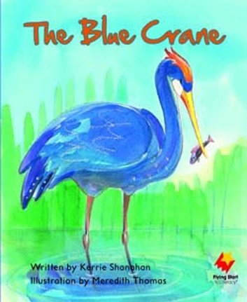Flying Start The Blue Crane L12