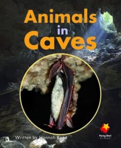 Flying Start Animals In Caves L13