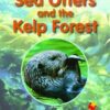 Flying Start Sea Otters And The Kelp Forest L13