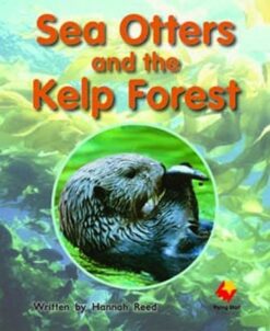 Flying Start Sea Otters And The Kelp Forest L13