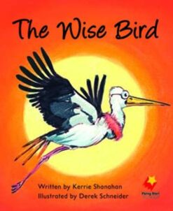 Flying Start The Wise Bird L14