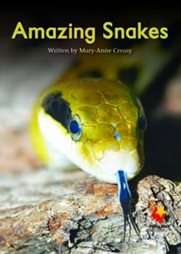 Flying Start Amazing Snakes L15