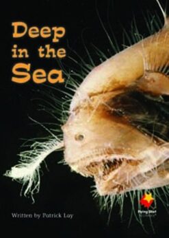 Flying Start Deep In The Sea L17