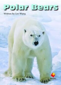 Flying Start Polar Bears L19