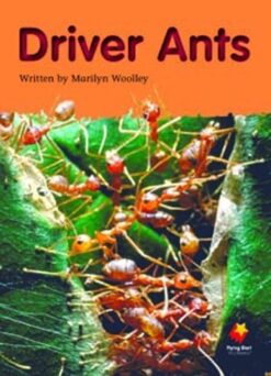 Flying Start Driver Ants L20