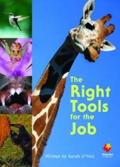 Flying Start Right Tools For The Job L22