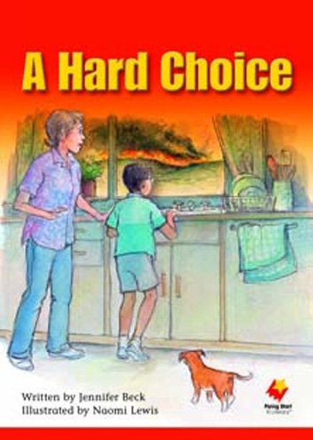 Flying Start A Hard Choice L29