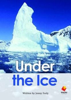 Flying Start Under The Ice L30