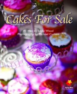 Flying Start Cakes For Sale L2