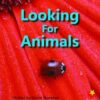Flying Start Looking For Animals L4