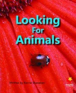 Flying Start Looking For Animals L4