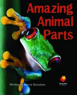 Flying Start Amazing Animal Parts L4