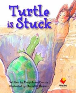 Flying Start Turtle Is Stuck L4