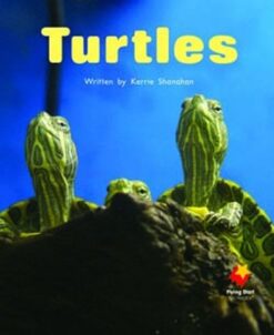 Flying Start Turtles L6