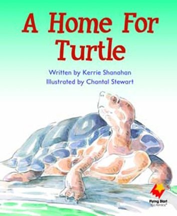 Flying Start A Home For Turtle L6