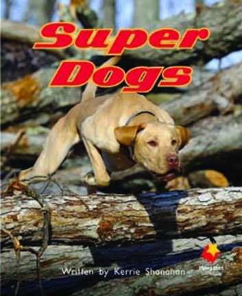 Flying Start Super Dogs L7