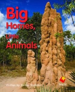 Flying Start Big Homes, Little L8