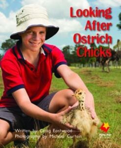 Flying Start Looking After Ostriches L10