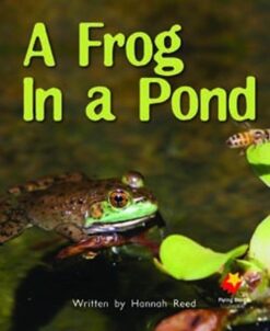 Flying Start A Frog In The Pond L11