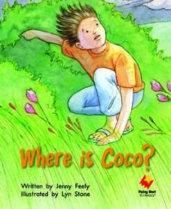 Flying Start Where Is Coco? L14