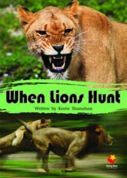 Flying Start When Lions Hunt L15