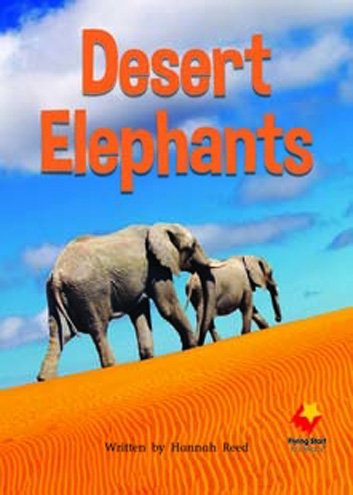 Flying Start Desert Elephants L18