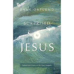 Surprised By Jesus: Subversive Grace In The Four Gospels (Paperback)