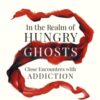 In the Realm of Hungry Ghosts : Close Encounters with Addiction - 9781785042201