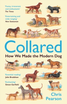 Collared : How We Made the Modern Dog