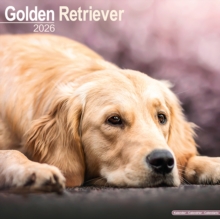 Golden Retriever Calendar 2026  Square Dog Breed Wall Calendar - 16 Month - 9781804606483