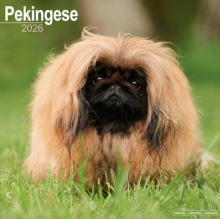 Pekingese Calendar 2026  Square Dog Breed Wall Calendar - 16 Month - 9781804606735