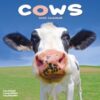 Cows Calendar 2026  Square Farm Animal Wall Calendar - 16 Month - 9781804607275